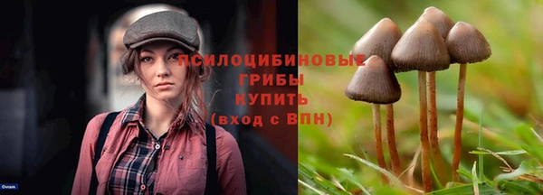 а пвп мука Каменногорск